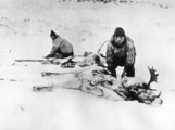 Két inuit vadász Kanadában egy leölt rénszarvassal (1924. március)