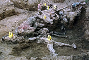 A srebrenicai mészárlás során megölt férfiak holttestei a boszniai Nova Kasaba falunál talált tömegsírban (1996. július 24.)