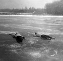 Pihenés a balatonszemesi hajkikötő jegén (1966)